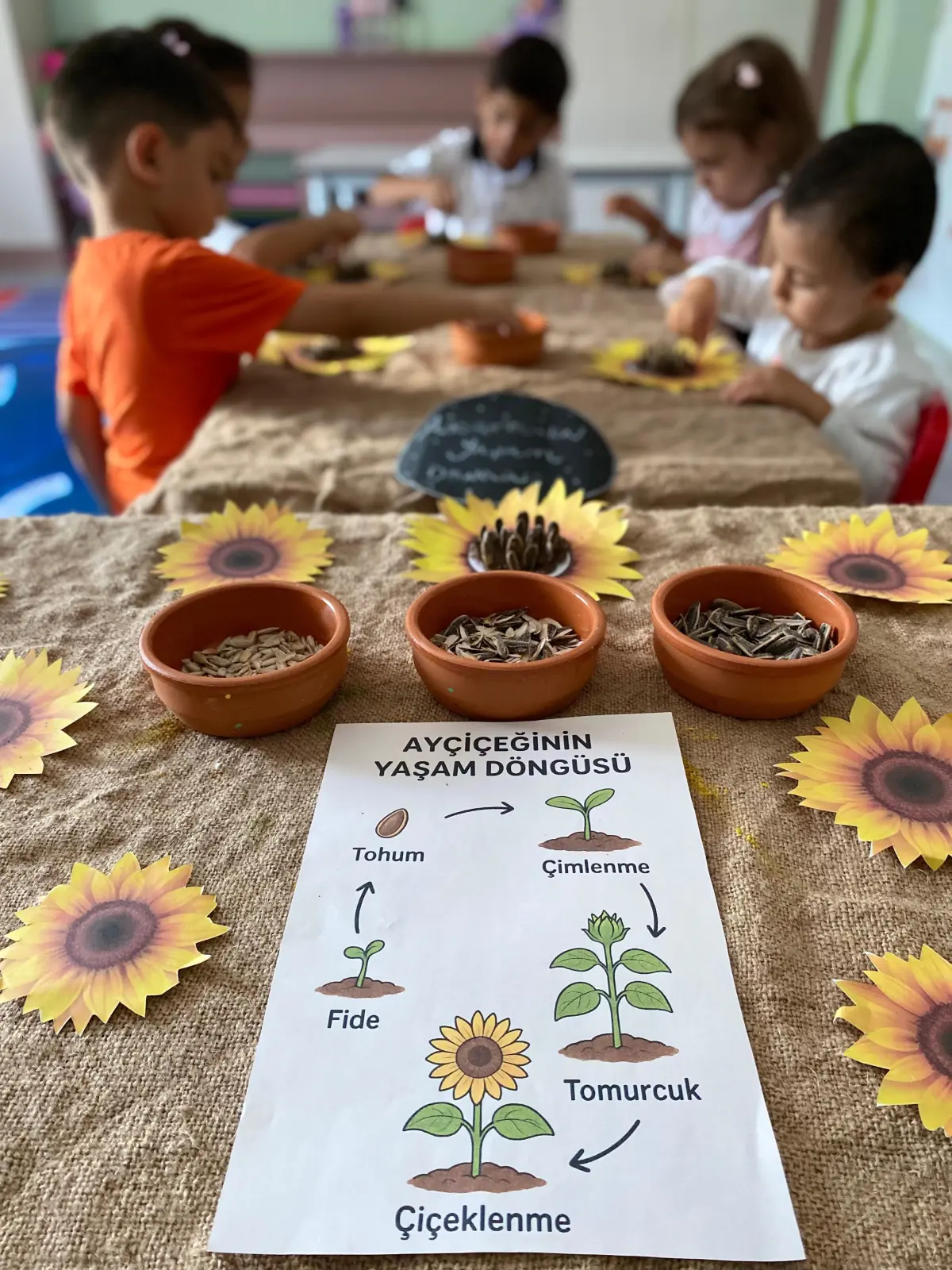 Şanlıurfa'da anaokulu seçimi rehberi