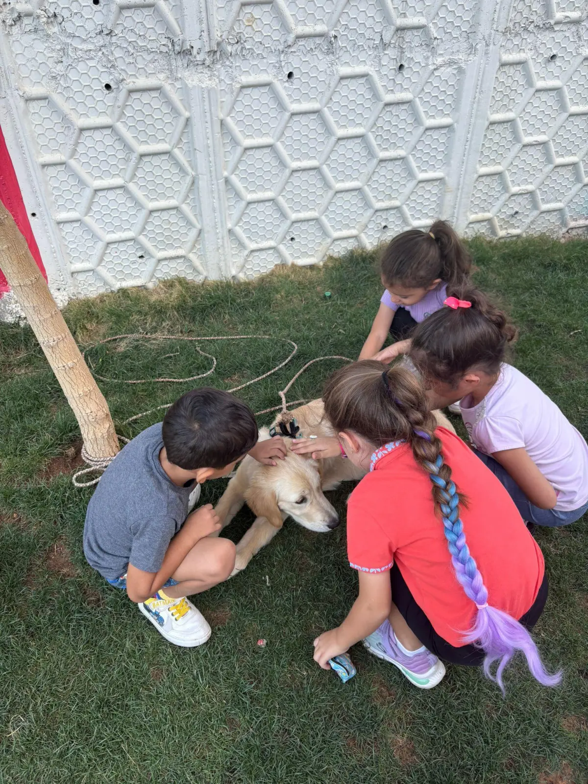 Şanlıurfa anaokulunda çocuklar oyun oynuyor